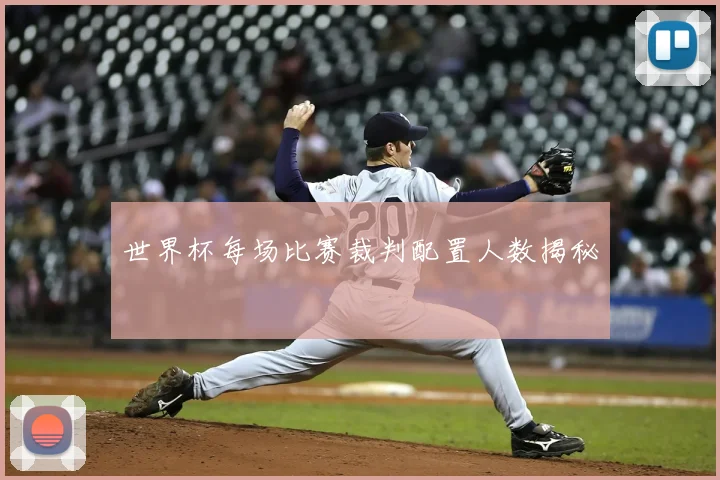 世界杯每场比赛裁判配置人数揭秘