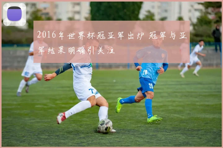 2016年世界杯冠亚军出炉 冠军与亚军结果明确引关注