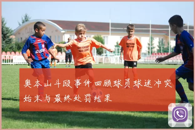 奥本山斗殴事件回顾球员球迷冲突始末与最终处罚结果