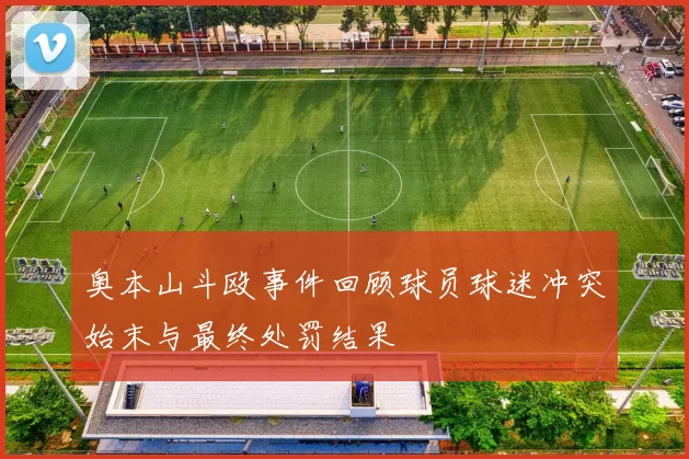 奥本山斗殴事件回顾球员球迷冲突始末与最终处罚结果