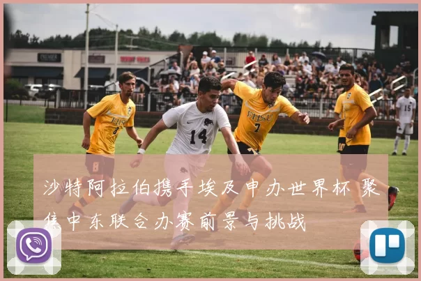 沙特阿拉伯携手埃及申办世界杯 聚焦中东联合办赛前景与挑战