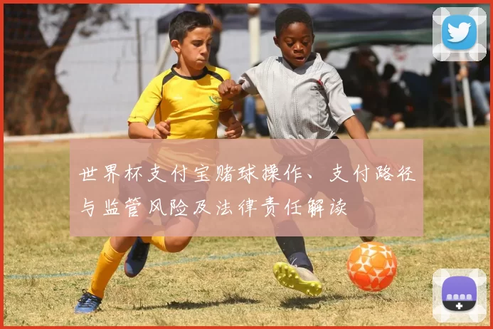 世界杯支付宝赌球操作、支付路径与监管风险及法律责任解读